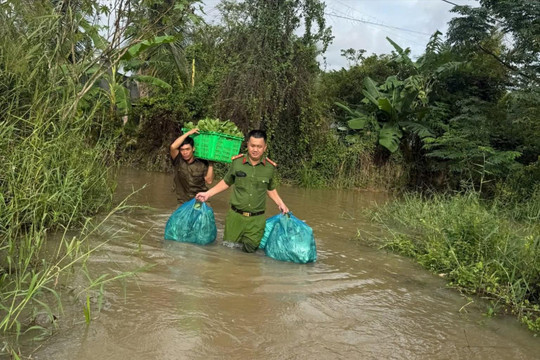 Nước sông Cái dâng nhanh, lực lượng vũ trang kịp thời hỗ trợ người dân thu hoạch rau màu