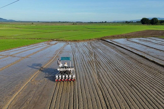 Reducing Carbon Emissions in Agriculture: A Green Path for Lam Dong’s Farming Sector