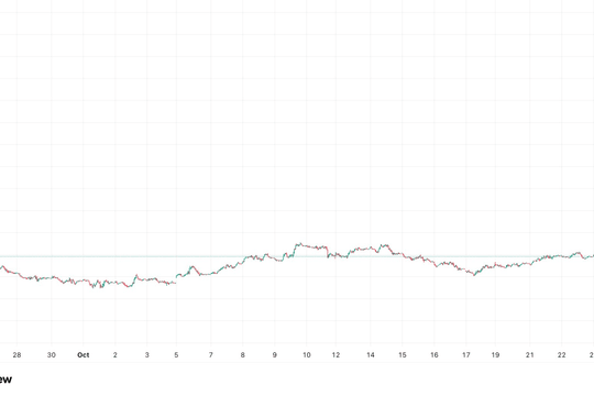 NHNN bán 1,50 tỷ USD kỳ hạn 26.550 VND/USD