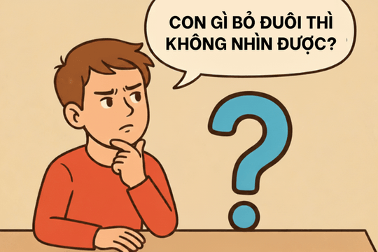 Câu đố: Con gì bỏ đuôi đi thì không thể nhìn thấy được?