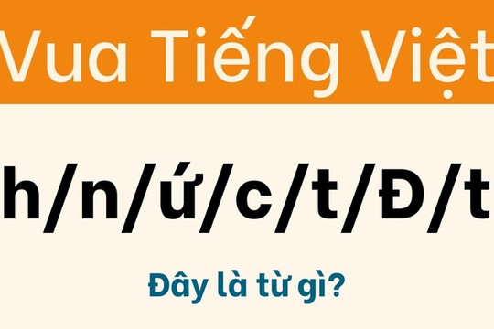 Mẹo giải câu đố tiếng Việt: Sắp xếp chữ thành từ có nghĩa
