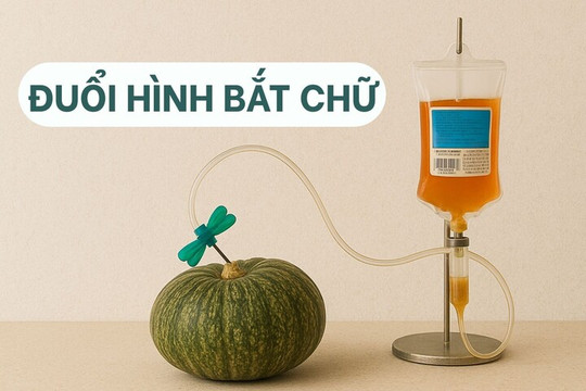 Giải mã câu đố 'Đuổi hình bắt chữ' với hình ảnh cái cân