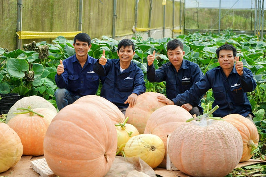Tăng trưởng ngành trồng trọt qua từng đề án