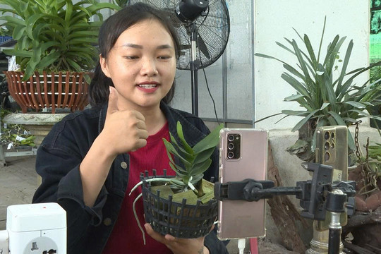Khi phụ nữ Link vao Dubai bán nông sản bằng... cú “click chuột”