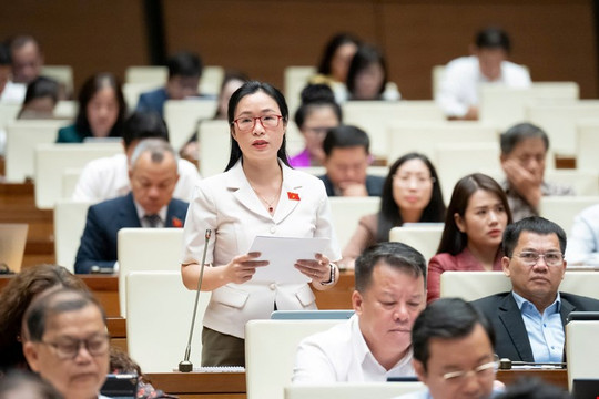 ĐBQH Lâm Đồng Trần Thị Thu Hằng kiến nghị bảo đảm quyền con người trong tương trợ tư pháp hình sự