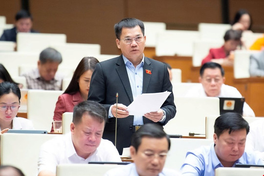 ĐBQH Lâm Đồng Dương Khắc Mai đề nghị bổ sung nguyên tắc nhân đạo để bảo đảm quyền con người