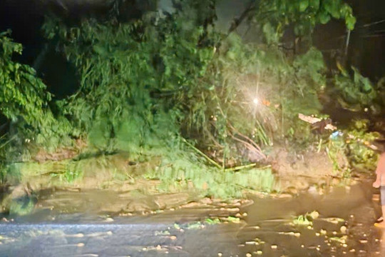 Đèo Sông Pha sạt lở, các phương tiện hạn chế lưu thông