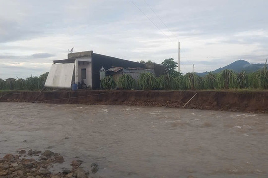 Mưa lũ kéo dài gây sạt lở nghiêm trọng, hàng chục hộ dân ven sông Linh bị uy hiếp