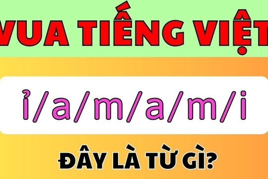 Thử tài Vua Tiếng Việt với 6 chữ cái 'ỉ/a/m/a/m/i'