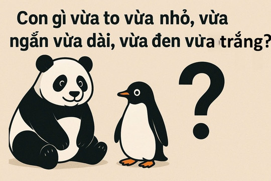Câu đố tiếng Việt: Con gì vừa to nhỏ, ngắn dài, đen trắng?