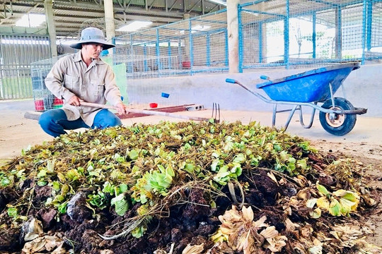 Clean Agriculture: Turning Agricultural Waste into Organic Fertilizer