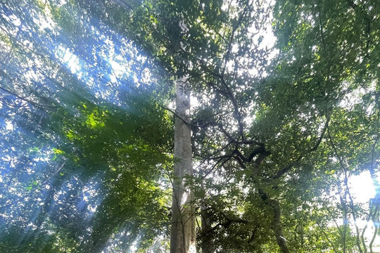 Green Tourism – A View from Cat Tien National Park