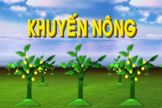 Thông tư số 60/2025/TT-BNNMT: Quy định về đơn vị sự nghiệp công lập thực hiện công tác khuyến nông cấp xã