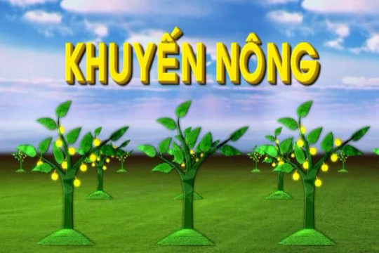 Quy định mới về Trung tâm khuyến nông cấp tỉnh