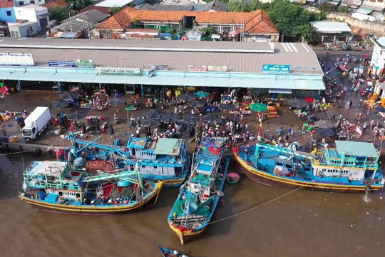 “Làm sạch dữ liệu tàu cá” - Cuộc chạy đua với thời gian ở vùng biển Lâm Đồng