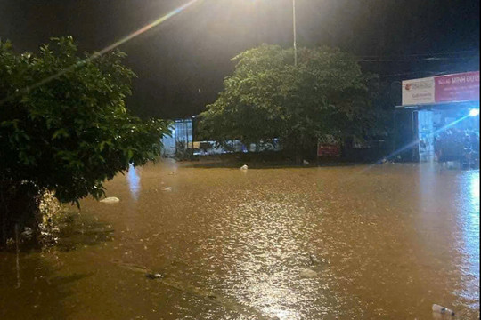 Mưa lớn gây ngập, chia cắt Quốc lộ 20 đoạn qua Lâm Đồng
