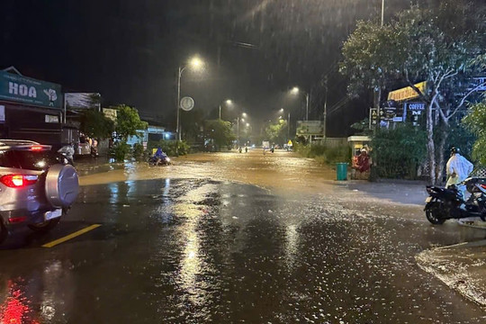 Hiệp Thạnh thiệt hại nặng nề do mưa lớn, 200 ha rau màu mất trắng