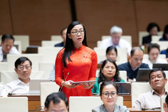 ĐBQH Lâm Đồng Trịnh Thị Tú Anh đề nghị áp dụng các công cụ kinh tế trong bảo vệ môi trường