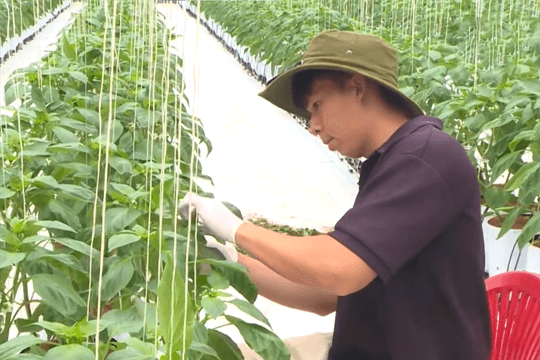 Đồng hành cùng nông dân phát triển nông nghiệp nông thôn bền vững