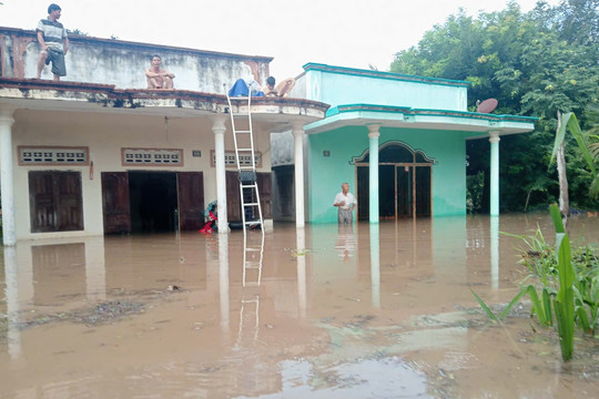Lũ trên sông Lũy dâng cao, hàng trăm nhà dân và hàng trăm ha hoa màu bị ngập