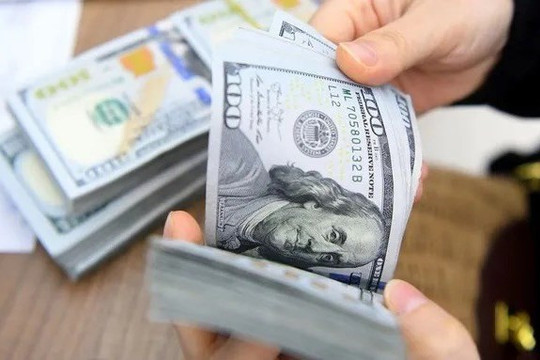 VDSC: Tỷ giá USD tự do chênh lệch kỷ lục, hé lộ áp lực 2026