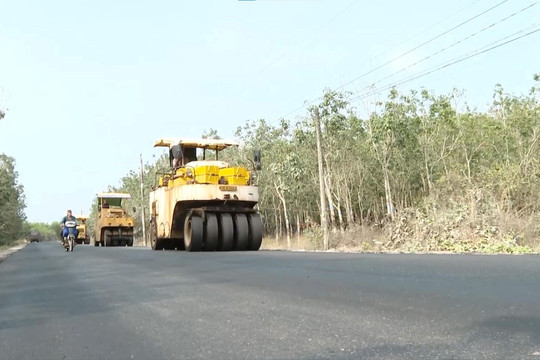 Sắc xuân trên những cung đường