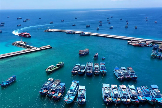 Lâm Đồng trước thách thức IUU: Hành trình vươn tới thủy sản trách nhiệm và bền vững
