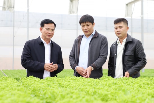 Nhân rộng mô hình nông nghiệp hiệu quả giúp nâng cao thu nhập cho nông dân