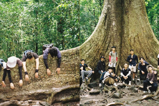 Nam Cát Tiên: Hành trình khám phá những kỳ quan rừng già
