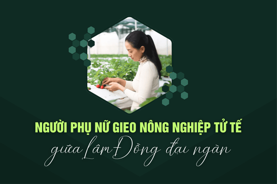Người phụ nữ gieo nông nghiệp tử tế giữa Lâm Đồng đại ngàn