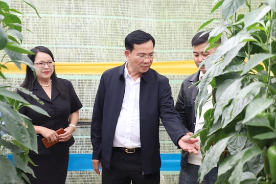 Chủ tịch UBND tỉnh Lâm Đồng Hồ Văn Mười thăm các doanh nghiệp tại xã Đơn Dương