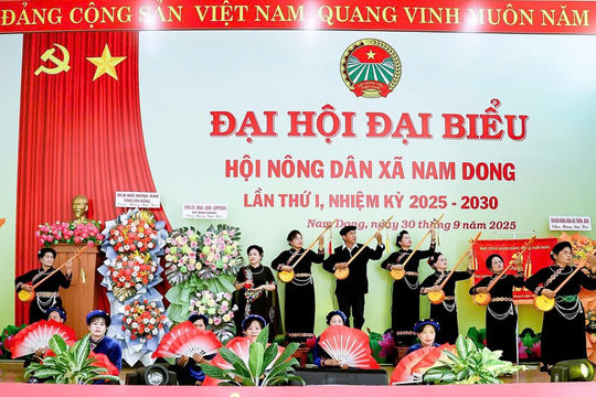 Giữ gìn văn hóa truyền thống Bắc bộ trên quê hương Nam Dong
