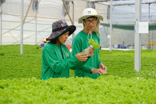 Từng bước nâng cao chất lượng cuộc sống cho nông dân