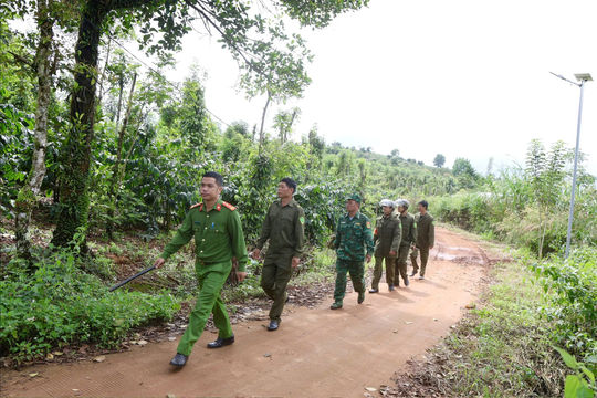 Tăng cường an ninh, bảo vệ an toàn mùa vụ cà phê ở xã biên giới Tuy Đức