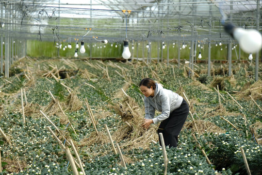 Mưa lũ gây thiệt hại nặng cho sản xuất nông nghiệp ở Đơn Dương