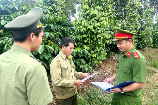 Quản lý chặt lao động thời vụ, bảo đảm an ninh mùa cà phê