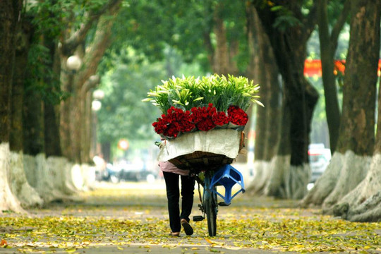 Hà Nội tháng 12: Cẩm nang trải nghiệm mùa đông đặc trưng