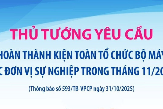 Hoàn thành tổ chức các đơn vị sự nghiệp trong tháng 11/2025