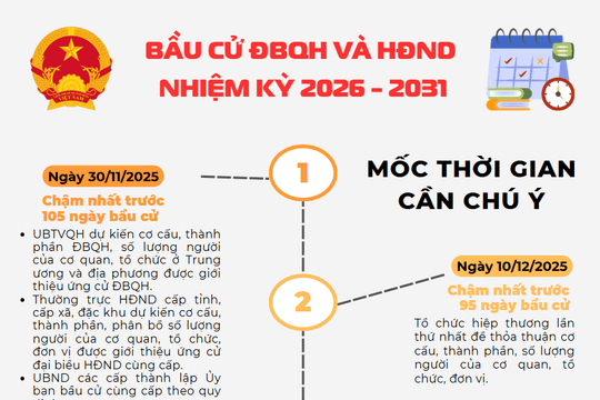 Infographic: Bầu cử ĐBQH và HĐND nhiệm kỳ 2026 - 2031 và các mốc thời gian cần chú ý