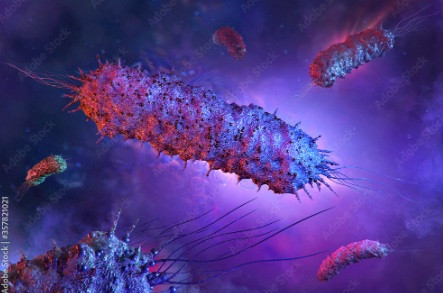 Miếng dán virus tiêu diệt 99.9% vi khuẩn trong thực phẩm