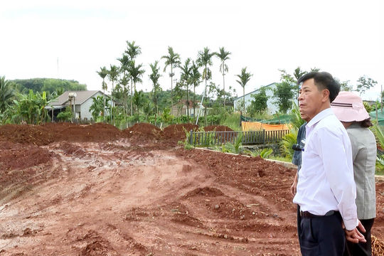 Hệ lụy từ việc tự ý san lấp đất ruộng