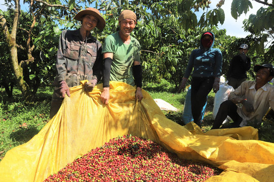 Lâm Đồng tăng cường đấu tranh với tội phạm, bảo vệ mùa vụ nông sản
