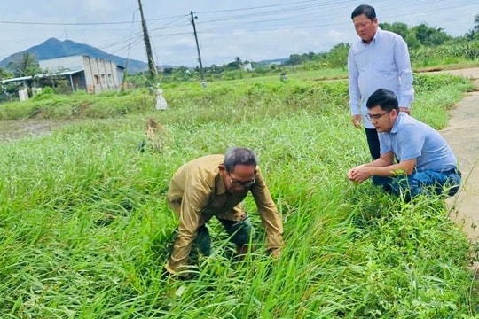 Giải pháp khôi phục sản xuất sau mưa lũ