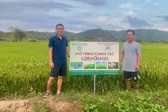 Giữ hồn lúa mẹ trên vùng cao Phan Sơn