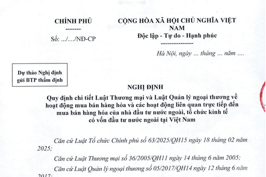 Đã có dự thảo Nghị định về mua bán hàng hóa và các hoạt động liên quan trực tiếp đến nhà đầu tư nước ngoài