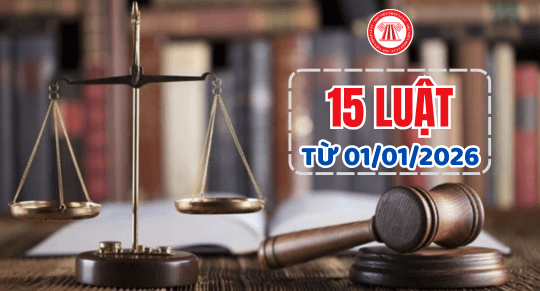 15 Luật có hiệu lực từ ngày 01/01/2026