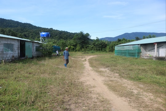 Chủ trang trại vịt tố bị tống tiền