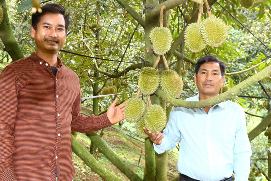 Thu hút đầu tư phát triển kinh tế vùng dân tộc thiểu số