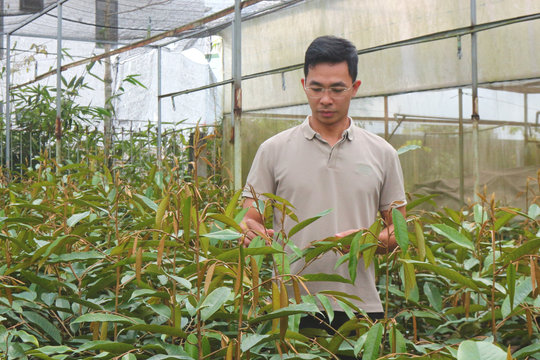 Khấm khá từ nghề ươm cây giống