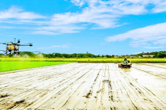 Ngành nông nghiệp và môi trường trong chuyển đổi xanh và phát triển bền vững đất nước